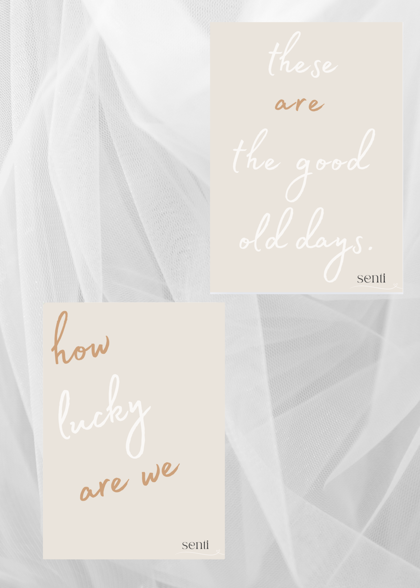 The Celebrate Moment